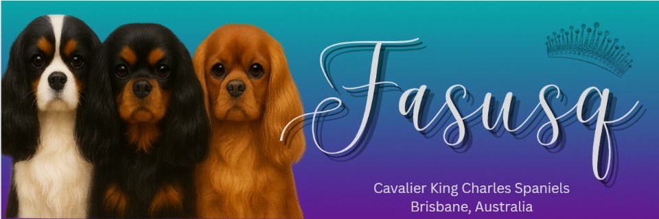 Fasusq Cavaliers